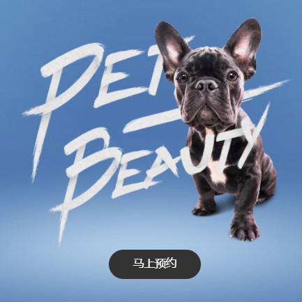 曲水宠物中心小程序开发