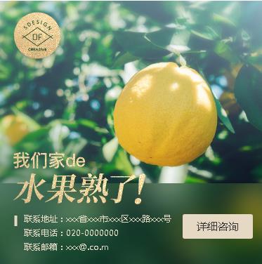 曲水果园果林小程序开发